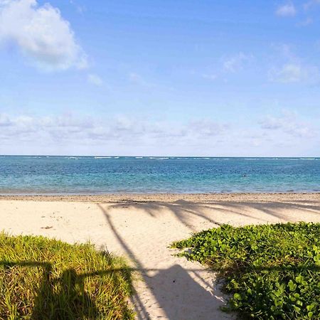 Flat Maui Beach Residence, Tamandare-Carneiros, Pe Na Areia, A Beira-Mar! Dış mekan fotoğraf